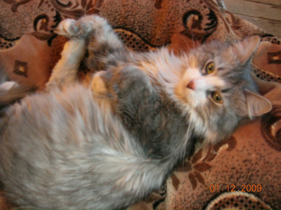 Светлана Иванова | Санкт-Петербург