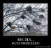 Игорьошка Збурин фотография #27