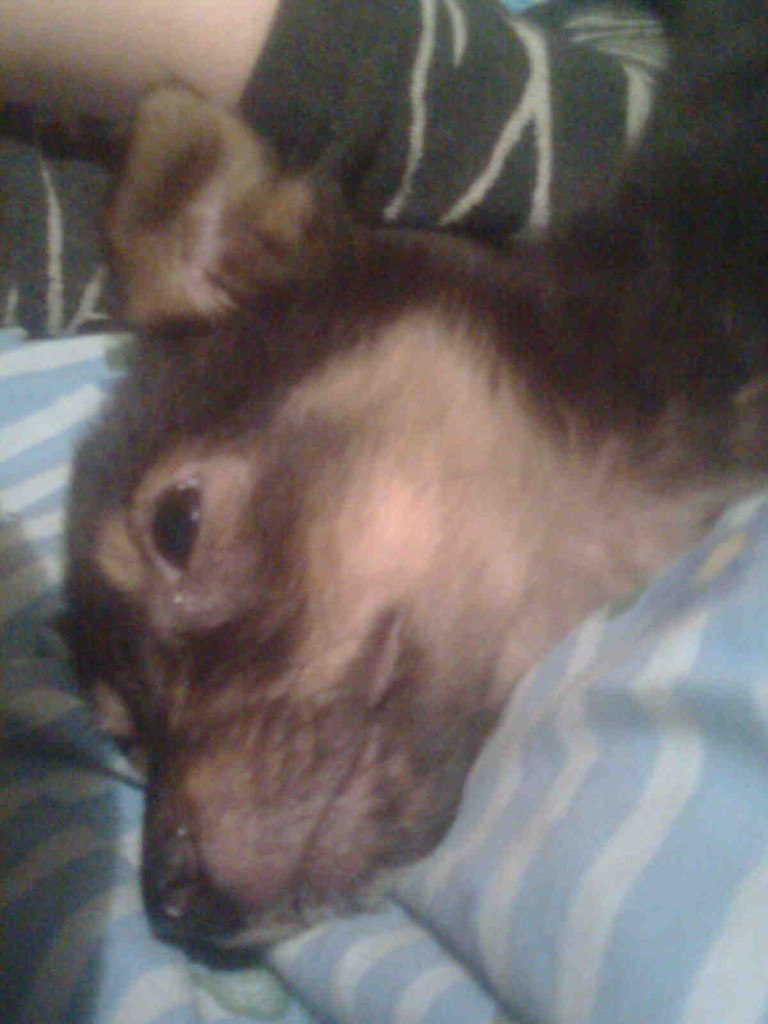 Людмилка Михайленко Звездочк@ | Боярка