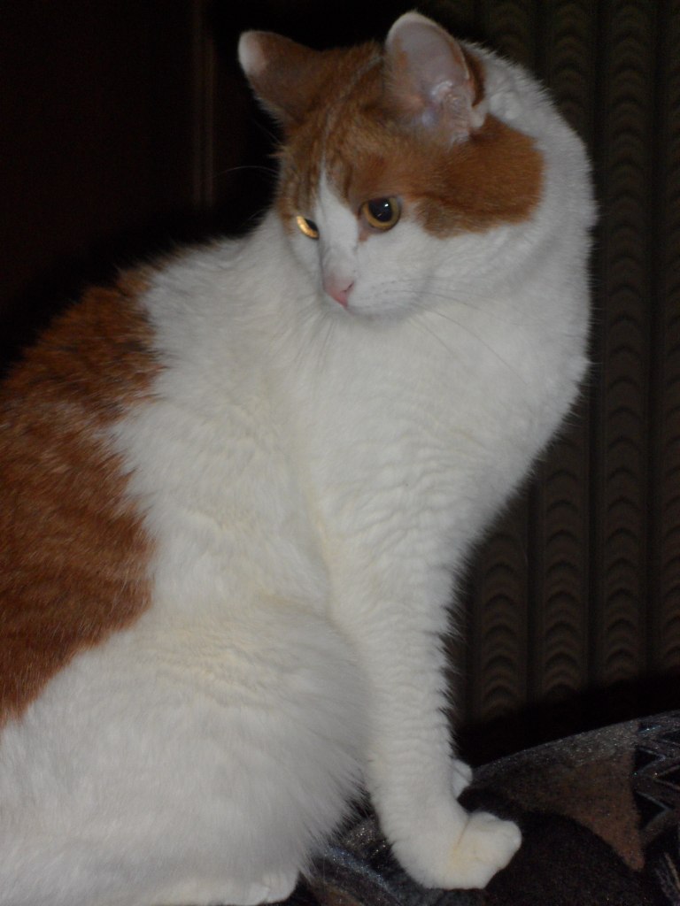 Ирина Владимировна | Дмитров