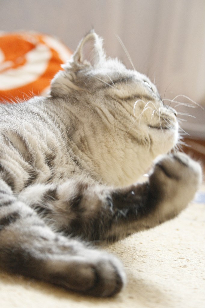 Ольга Склярук | Киев