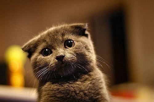 Славик Горюнов | Владивосток