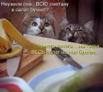 №38 Катя Блонська 25.07.1998: профиль, фото, статус - ВКонтакте