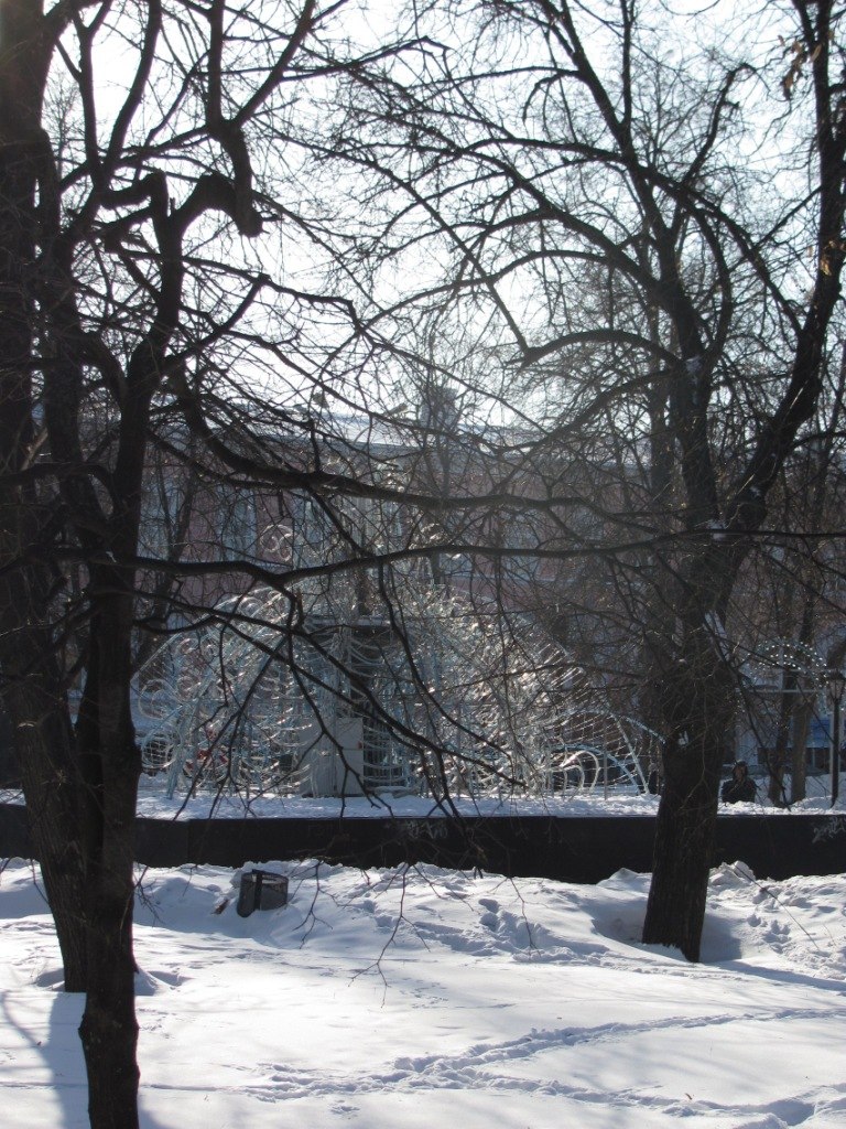 Елена Недопёкина | 