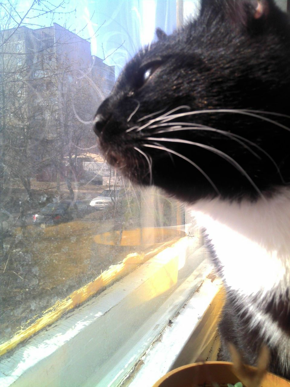 Вольга Бяссонава АНАТОЛЬЕуНА | Минск