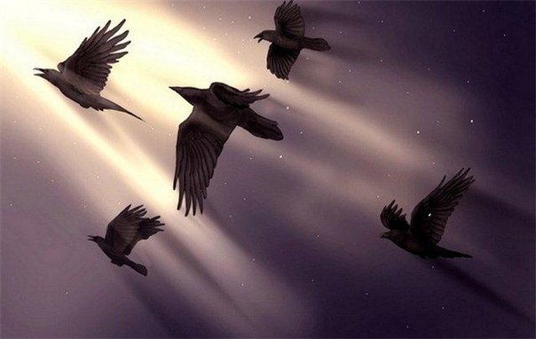 №46, Алексей Дыня, 35 лет, Иркутск №46, Алексей Дыня, 35 лет, Иркутск