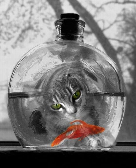 Лёха Короткий _Alex_Rain_ | Житомир