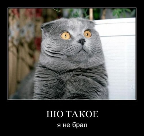 №45, Максим К №45, Максим К