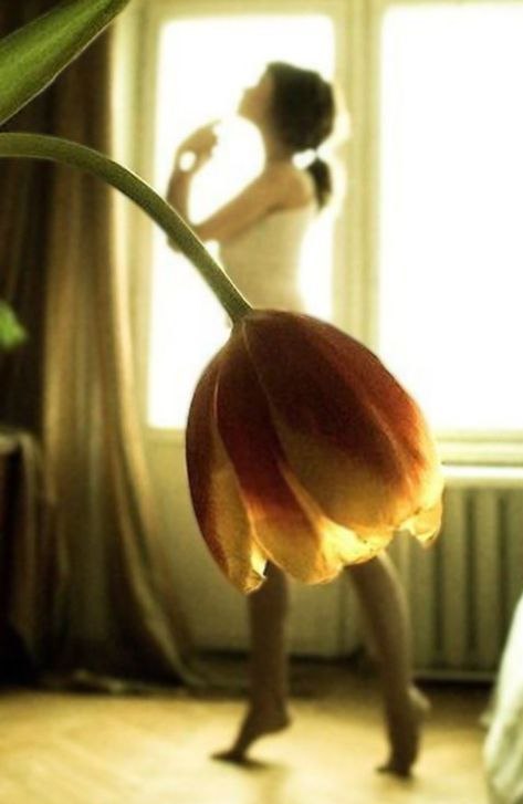 Надежда Тюльпина | Пермь