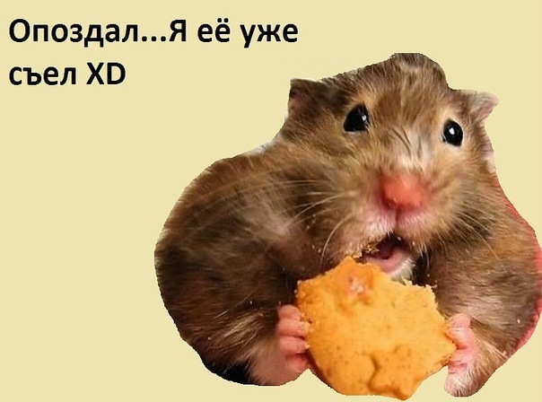 №20, Иришка Аношина, Москва №20, Иришка Аношина, Москва