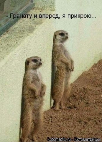 Rizvan Soltakhanov | Санкт-Петербург