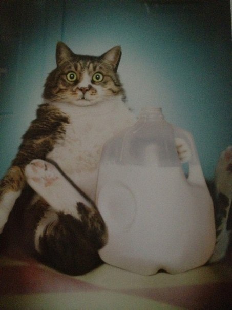 Ден Никифоров | Самара