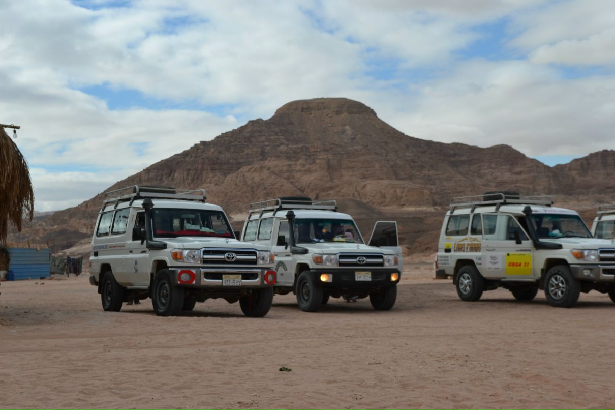 Анастасия Ярмакович | Минск