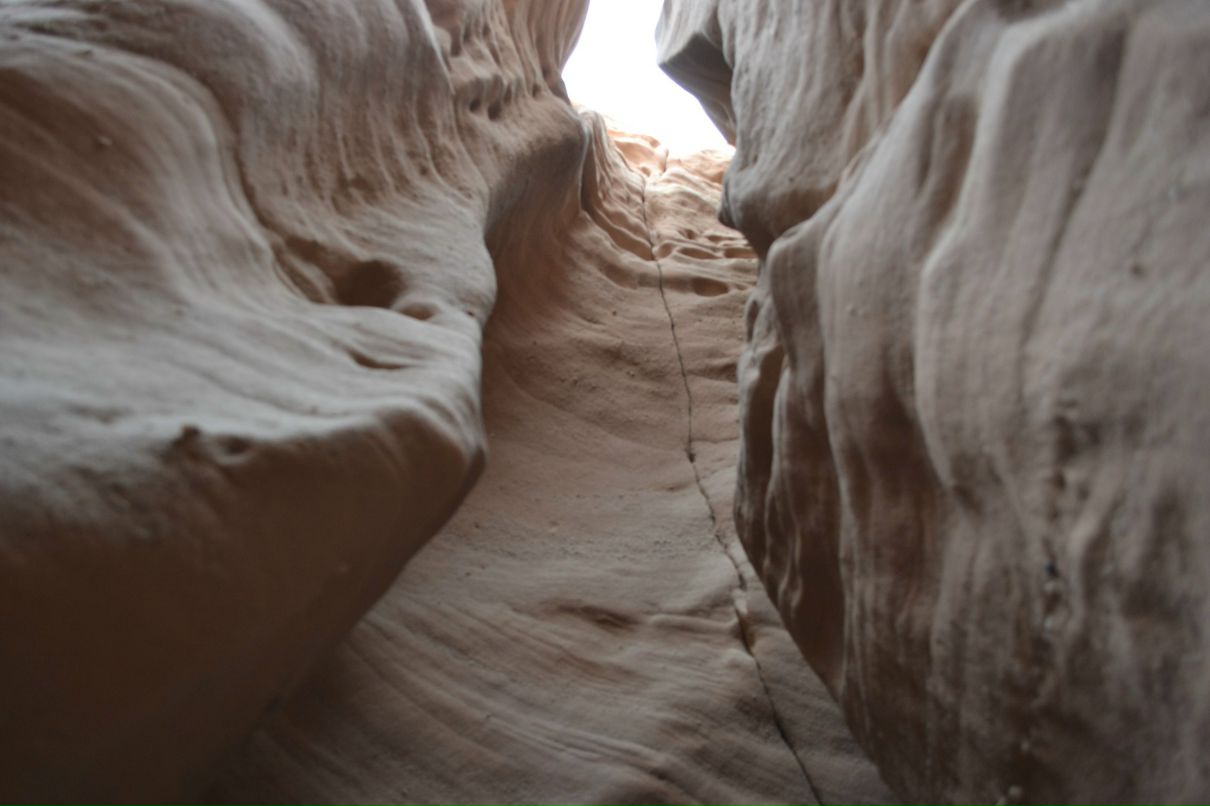 Анастасия Ярмакович | Минск