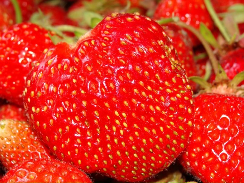 Анна Курашева | Санкт-Петербург