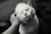 Марина Ардашева фотография #38