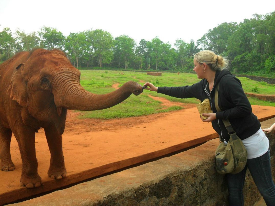 Наталия Чикунова | Орёл