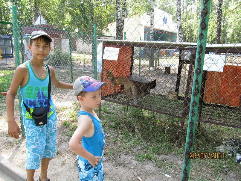 Ольга Сергеева | Чебоксары