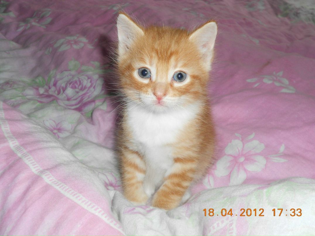 Любовь Курицына | Тотьма