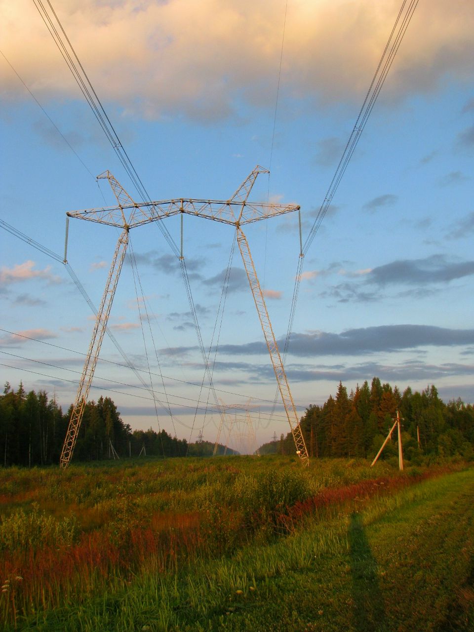 Александр Зайцев | Санкт-Петербург