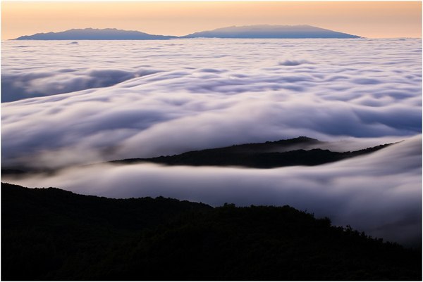 Эльмира Исрафилова-Тейран | Ankara