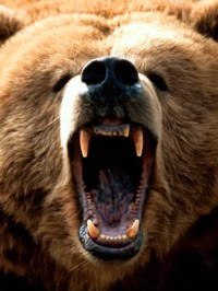 Артур Даниелян | Винница