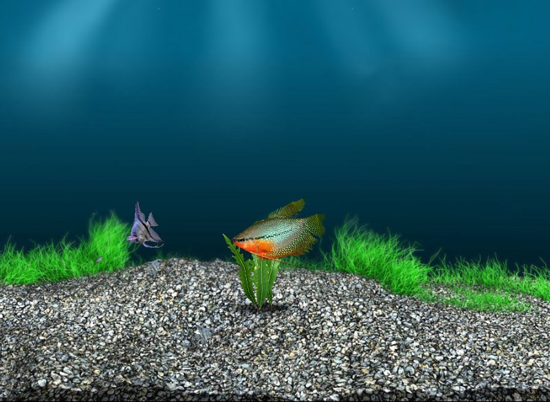 Аня Чурикова | Новосибирск