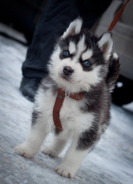 Алёна Казакова | 