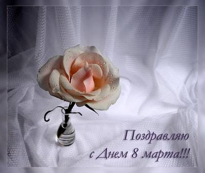 Виктория Охримчук | Кривой Рог