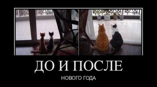 Яна Солнцева | Харьков