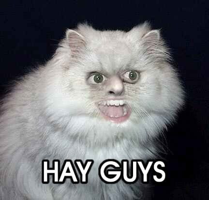 Максим Незабудкин | Douglas