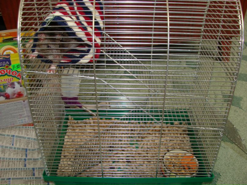 Виктория Ярошенко | Москва