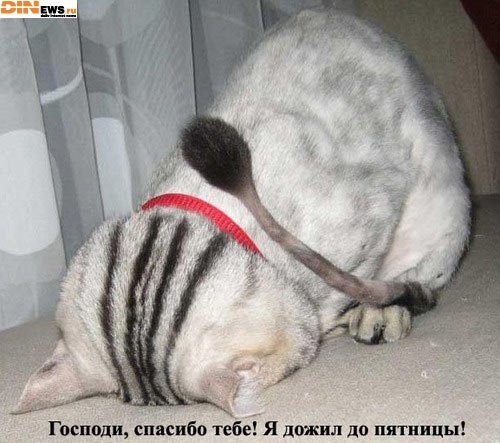 №2, Наталия Хорева №2, Наталия Хорева