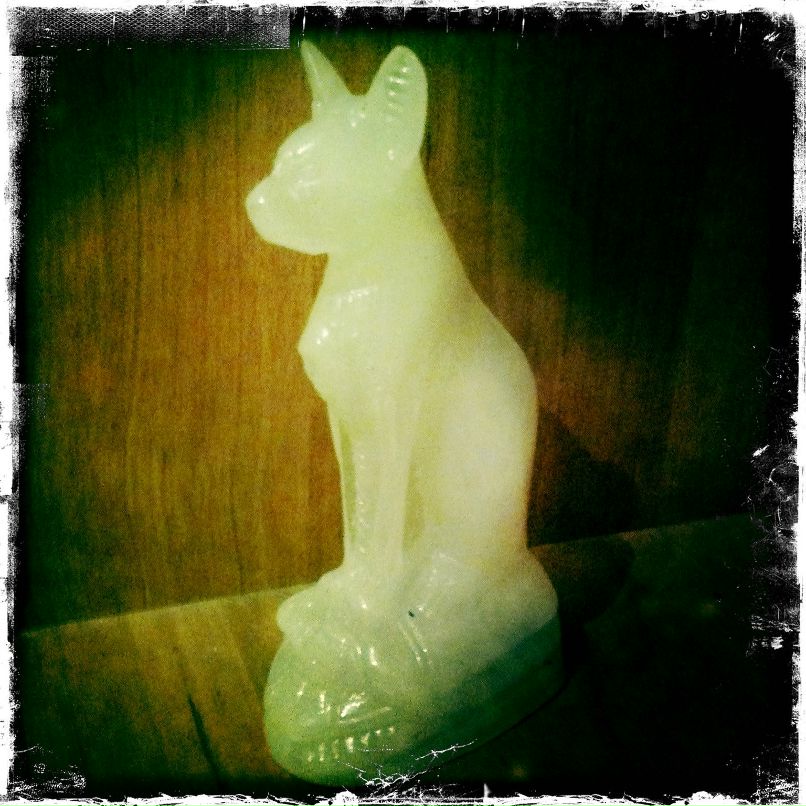 Nymphaea Vza | Киев