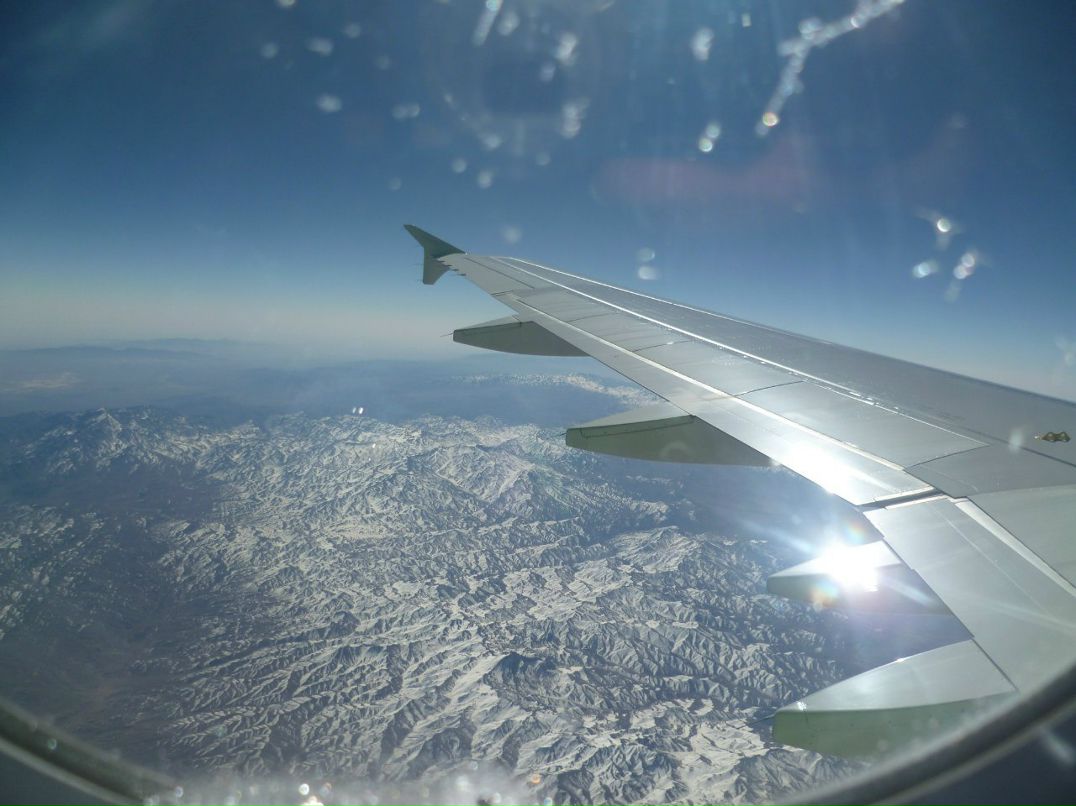 Алиса Колдина | Новокузнецк