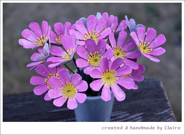 Снежана Дорошенко | Ottawa