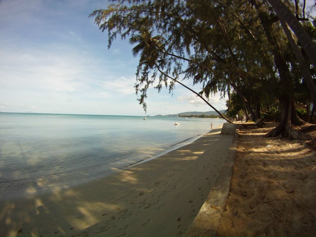 Роман Лисицын | Москва