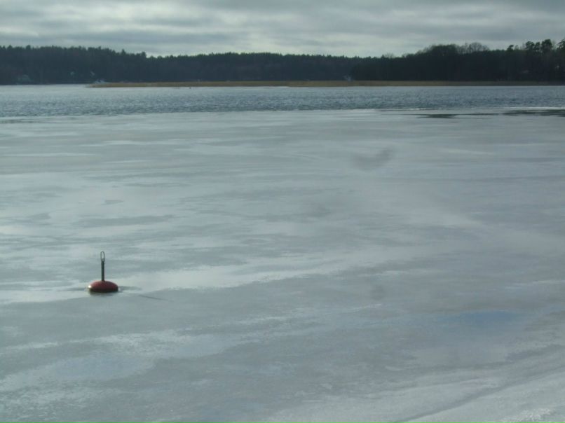 Elizaveta Gobenceaux | Paris