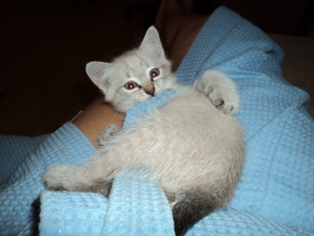 Елена Зевакина | Казань