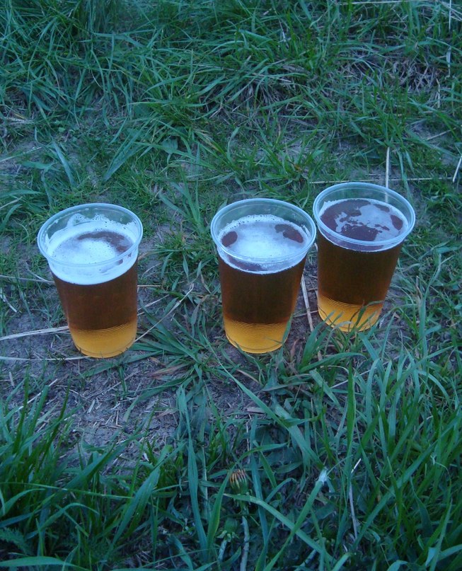 Евгений Кушников <SDVIG> | Архангельск