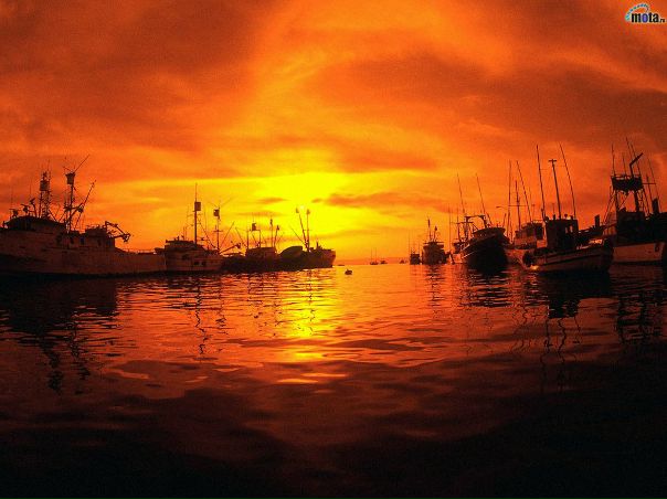 №19, Виталий Сухов №19, Виталий Сухов