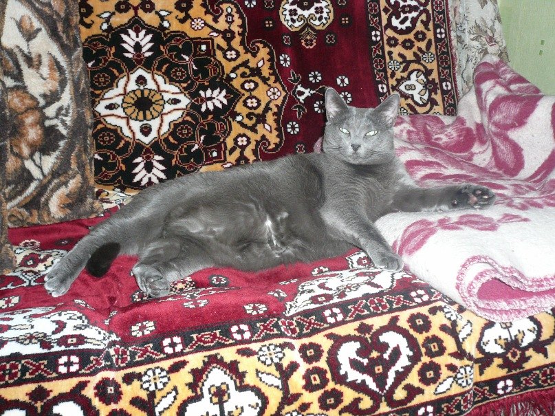 Галина Евова | Санкт-Петербург