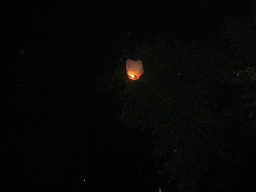 Юлечка Мини | Королёв