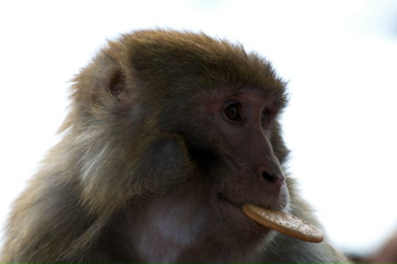 Михаил Наумов | Москва