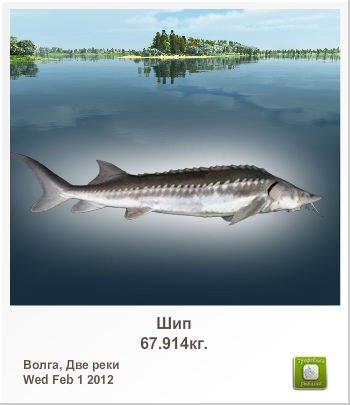 Саня Горбач | Чернигов