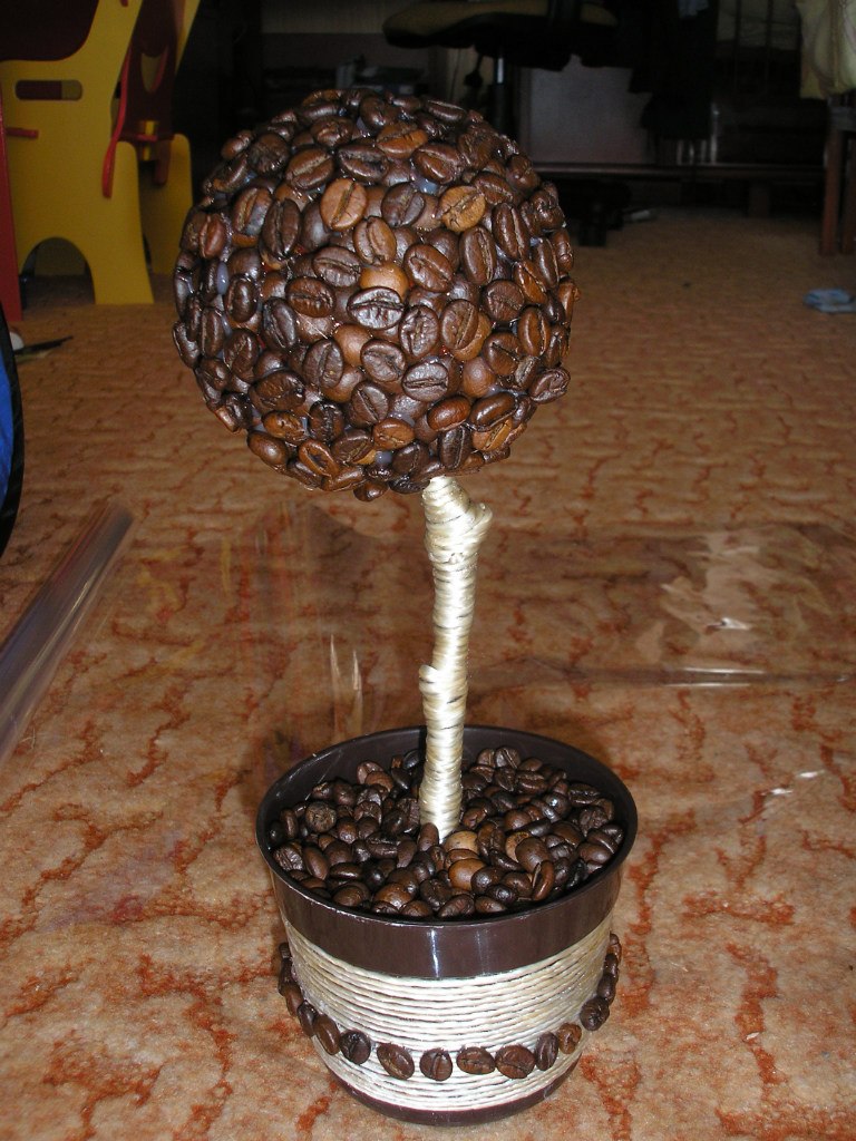 Оля Жаровська | Тернополь