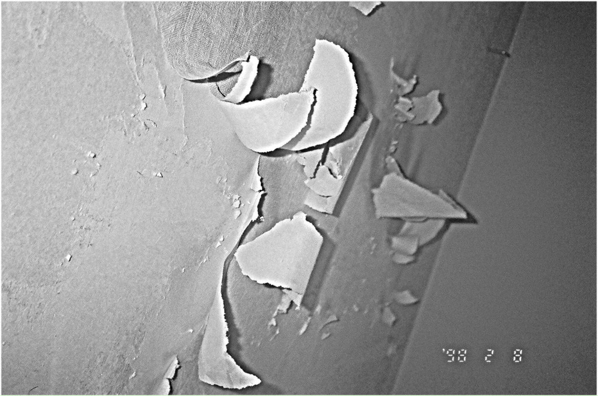 Фиса Евсеенкова | 