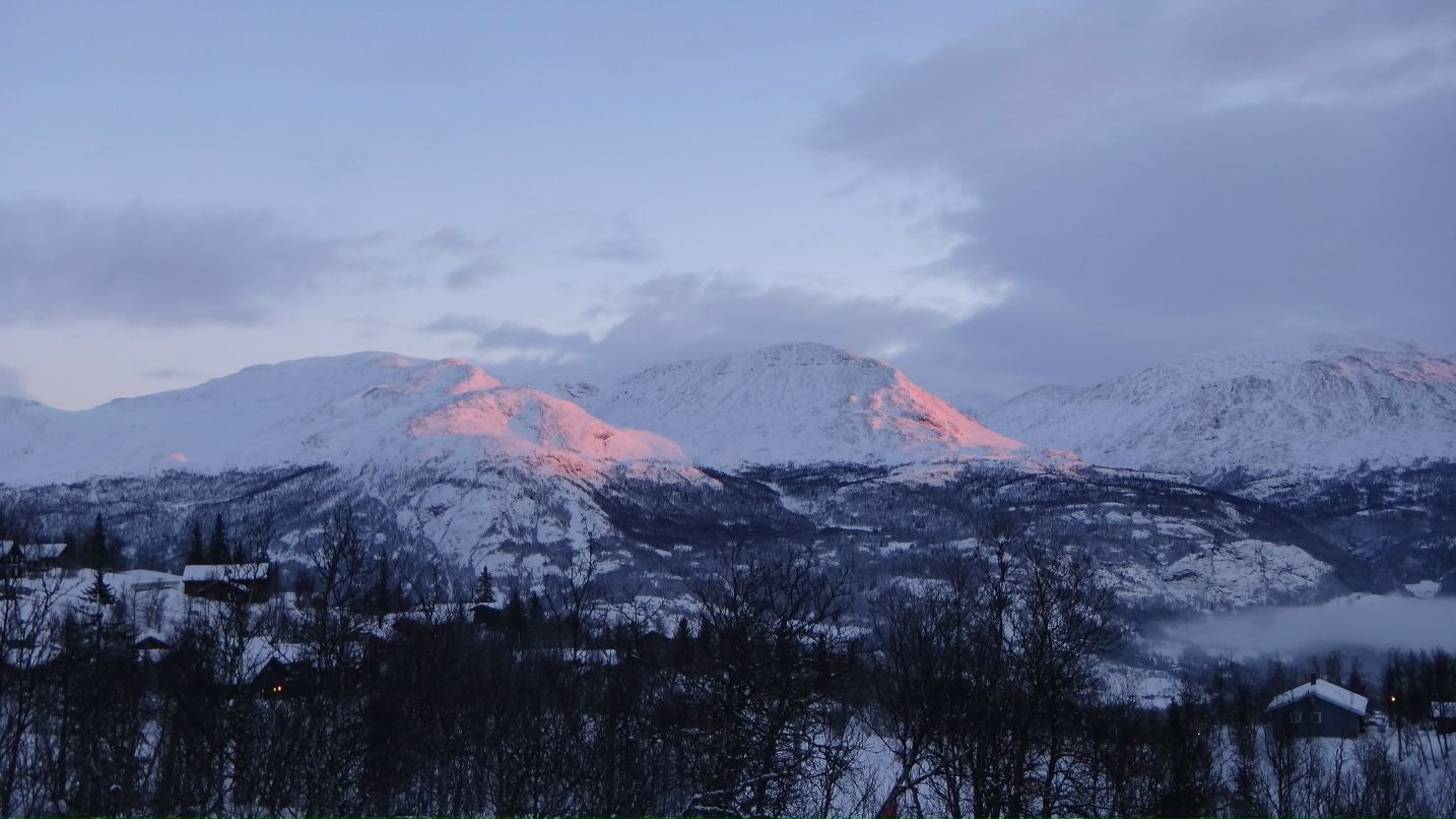 Ксения Фокша | Тверь