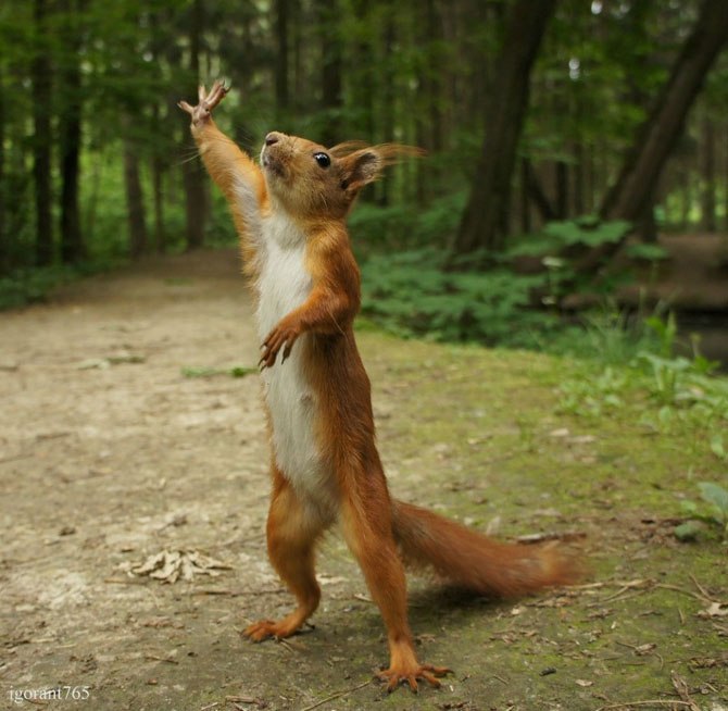 Наташа Васильева | Красноярск