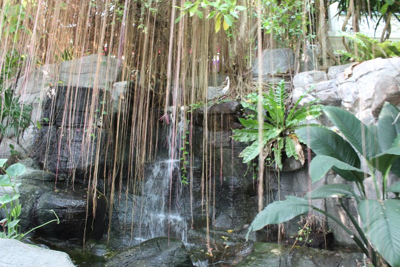 Иван Лавруков | Петрозаводск